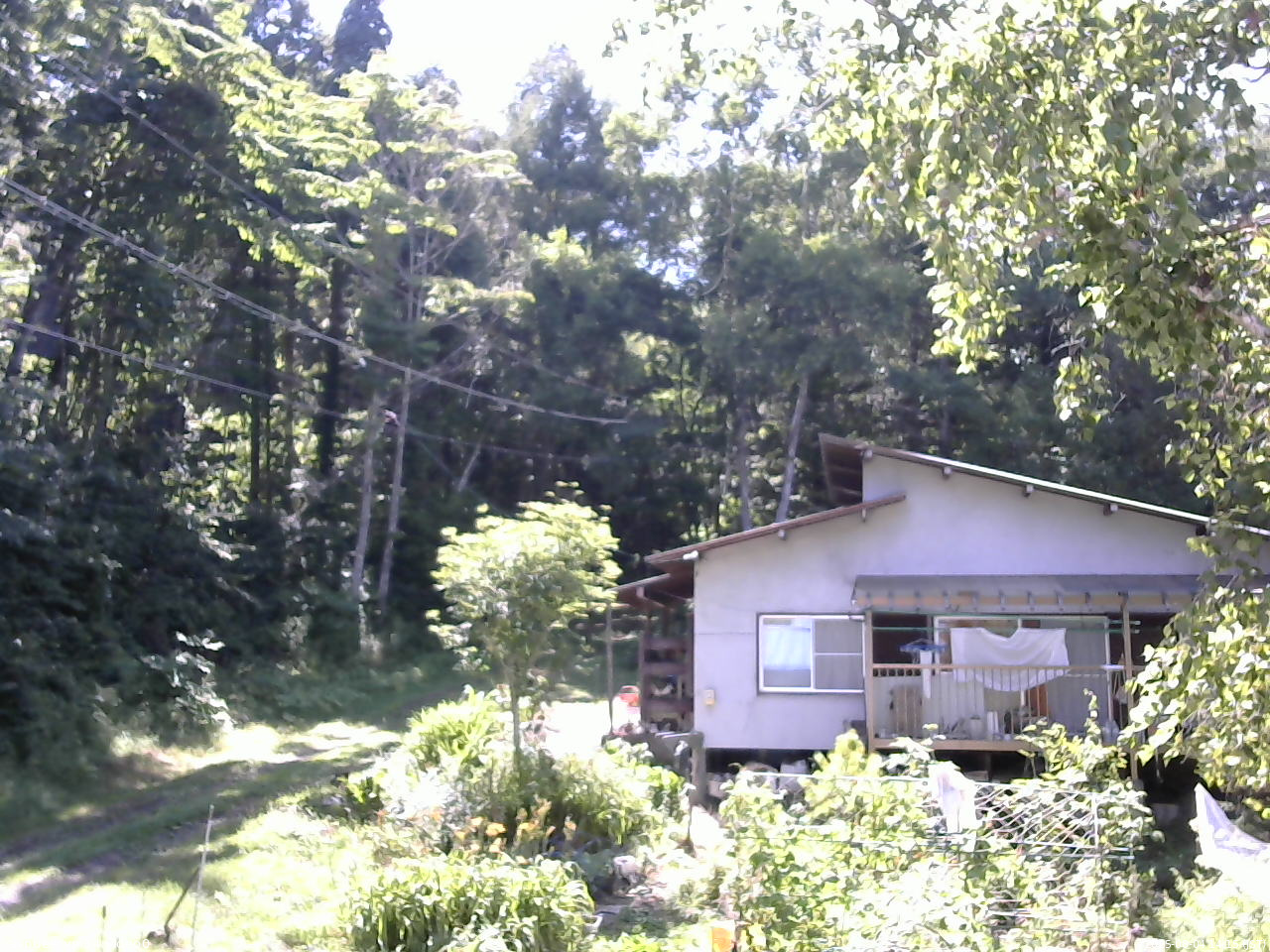 長野県菅平高原 ゆたか山荘 西側(坂上) 2025/08/04 14:15