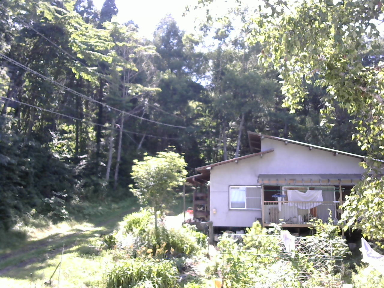 長野県菅平高原 ゆたか山荘 西側(坂上) 2025/08/04 14:30