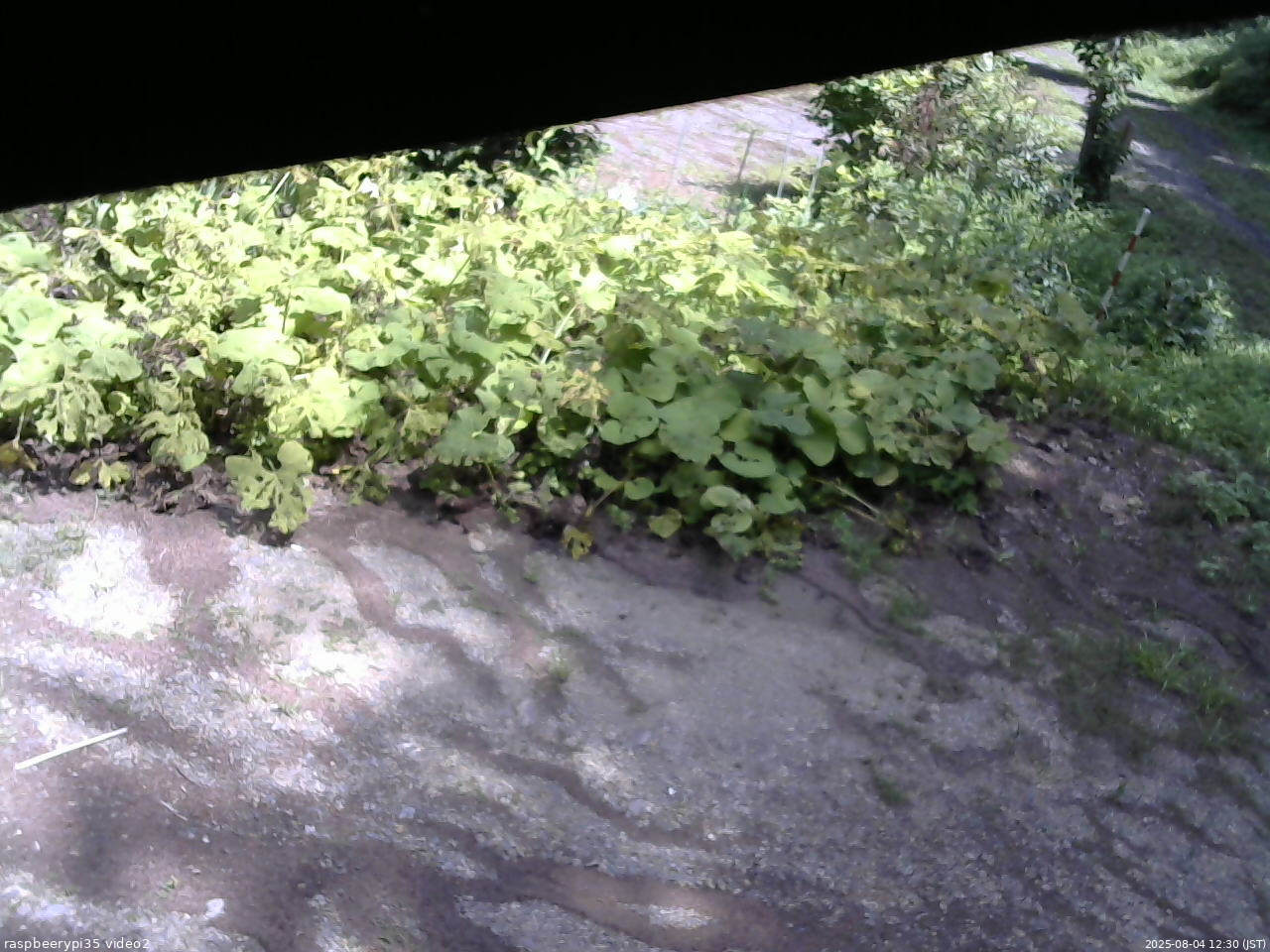 長野県菅平高原 ゆたか山荘 駐車場 2025/08/04 12:30
