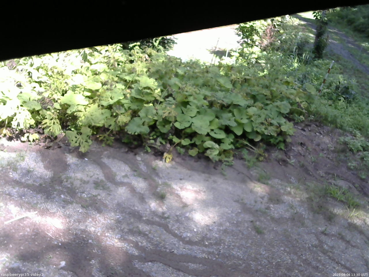 長野県菅平高原 ゆたか山荘 駐車場 2025/08/04 13:30