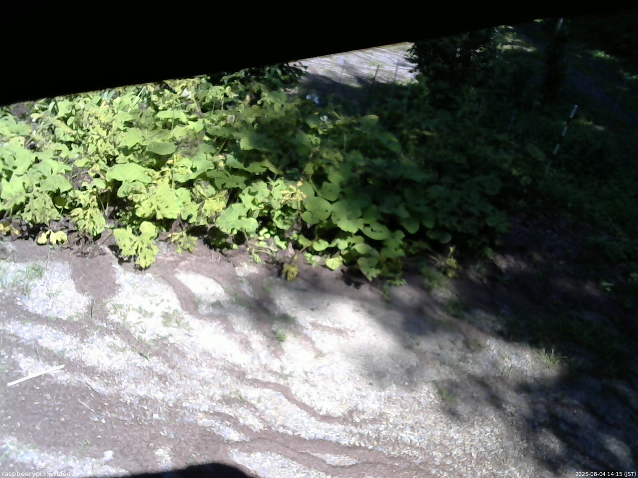 長野県菅平高原 ゆたか山荘 駐車場 2025/08/04 14:15