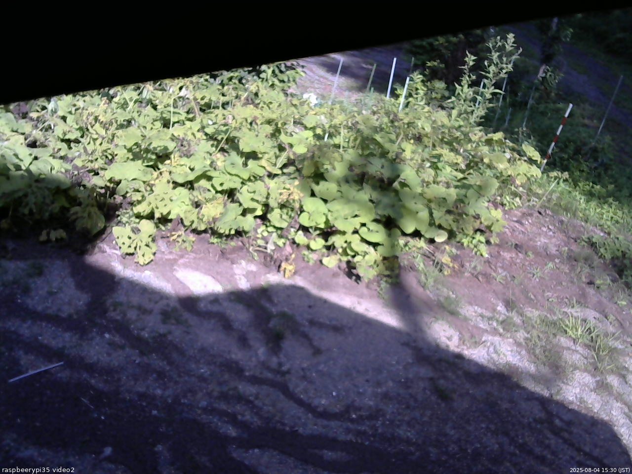 長野県菅平高原 ゆたか山荘 駐車場 2025/08/04 15:30