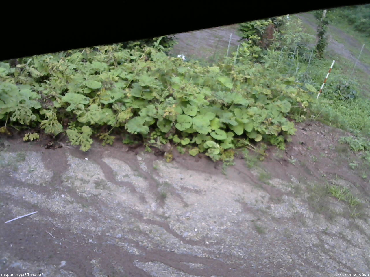 長野県菅平高原 ゆたか山荘 駐車場 2025/08/04 18:15