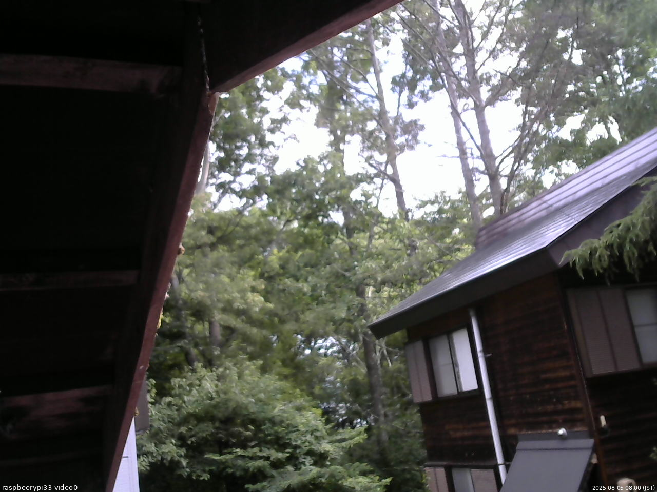 長野県菅平高原 ゆたか山荘 北側 2025/08/05 08:00