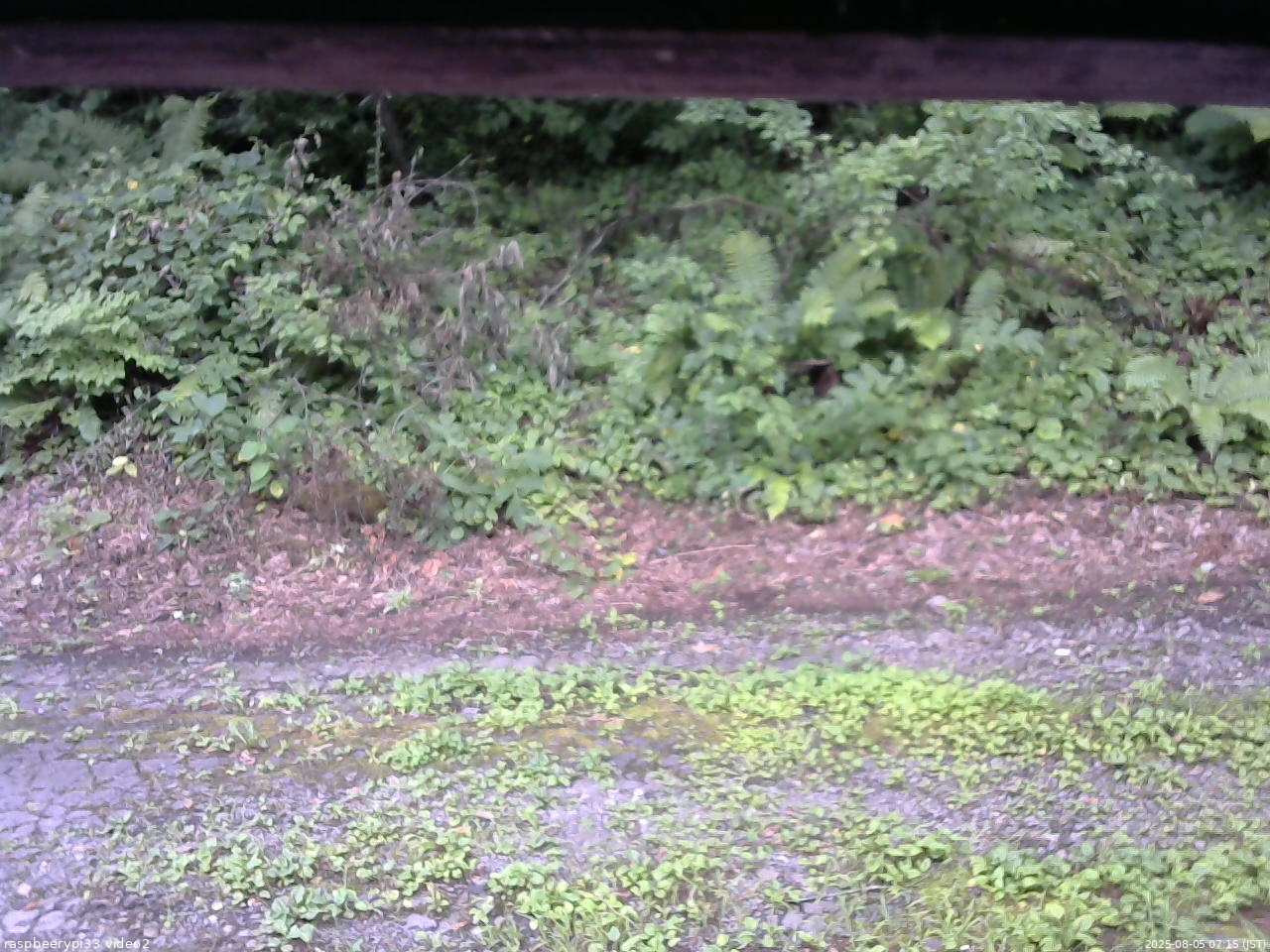長野県菅平高原 ゆたか山荘 南側 2025/08/05 07:15
