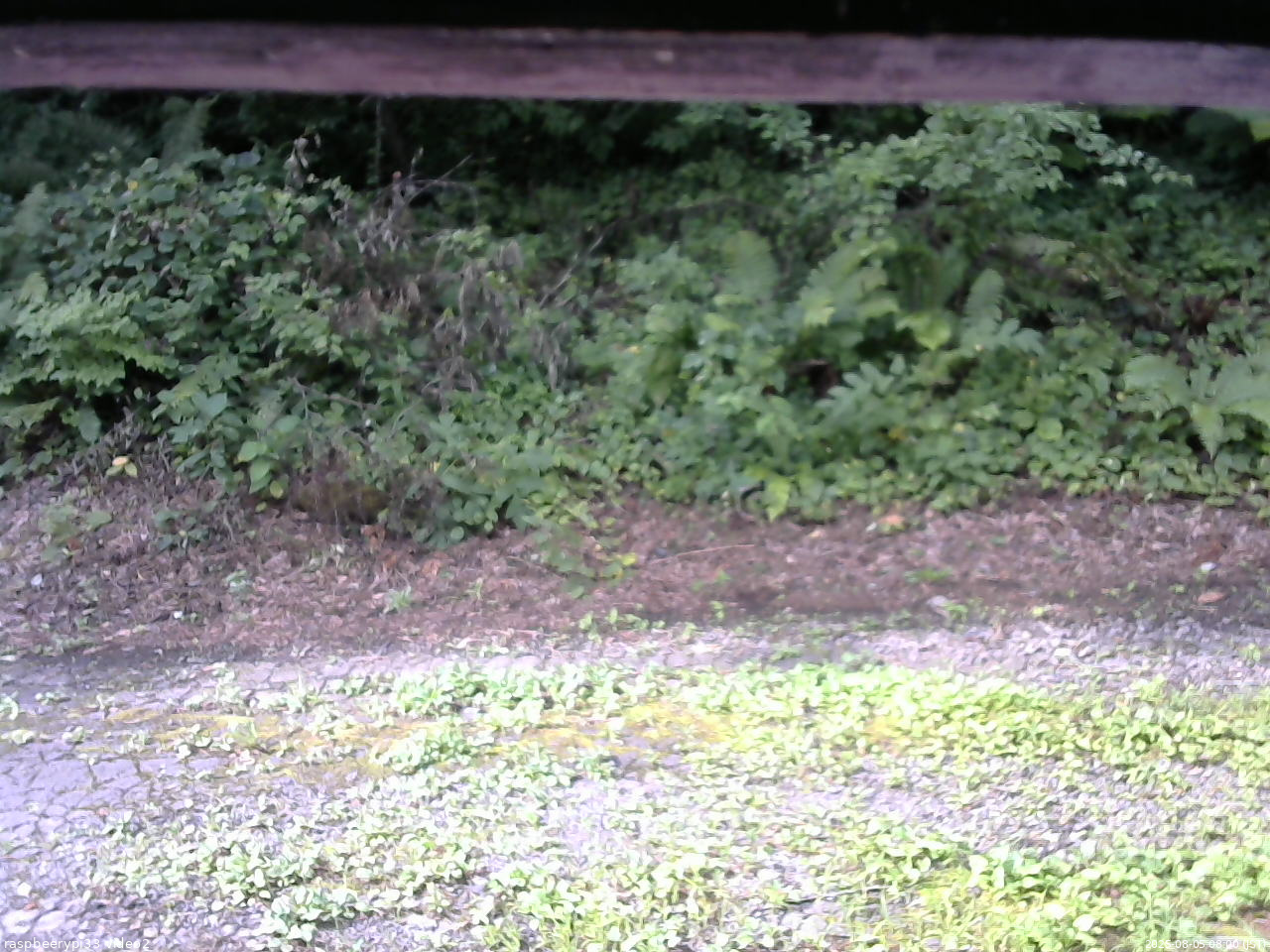長野県菅平高原 ゆたか山荘 南側 2025/08/05 08:00
