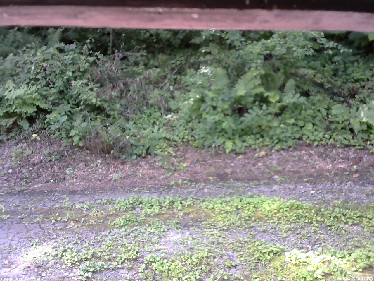 長野県菅平高原 ゆたか山荘 南側 2025/08/05 10:00