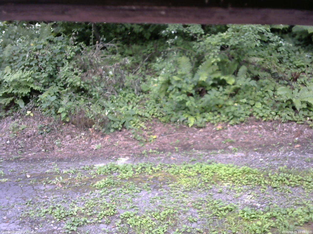 長野県菅平高原 ゆたか山荘 南側 2025/08/05 12:15