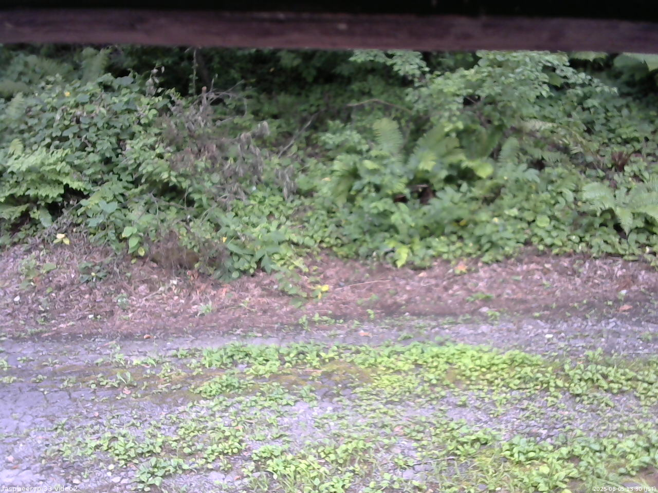 長野県菅平高原 ゆたか山荘 南側 2025/08/05 13:30