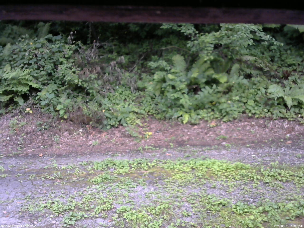 長野県菅平高原 ゆたか山荘 南側 2025/08/05 16:30