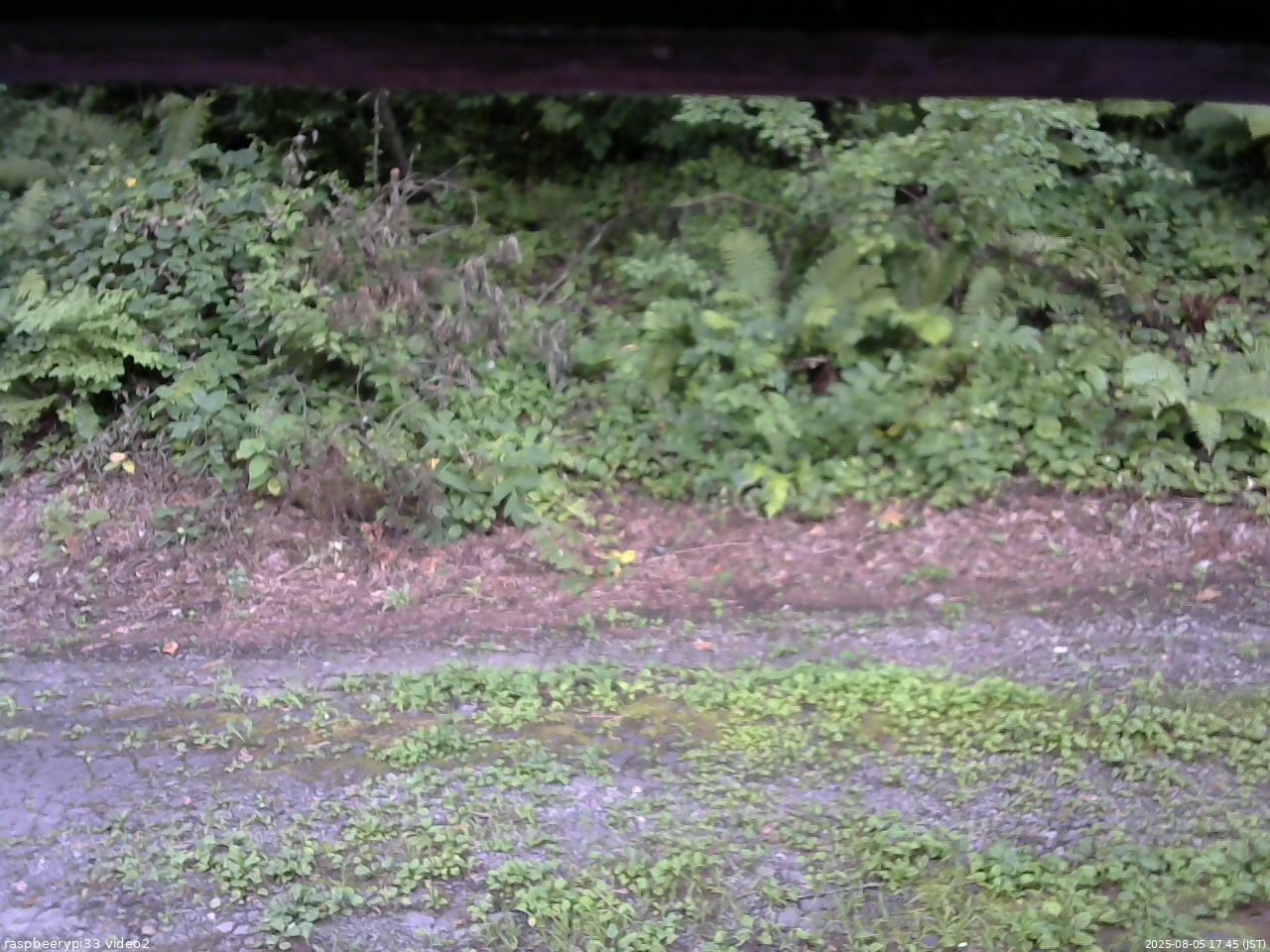 長野県菅平高原 ゆたか山荘 南側 2025/08/05 17:45