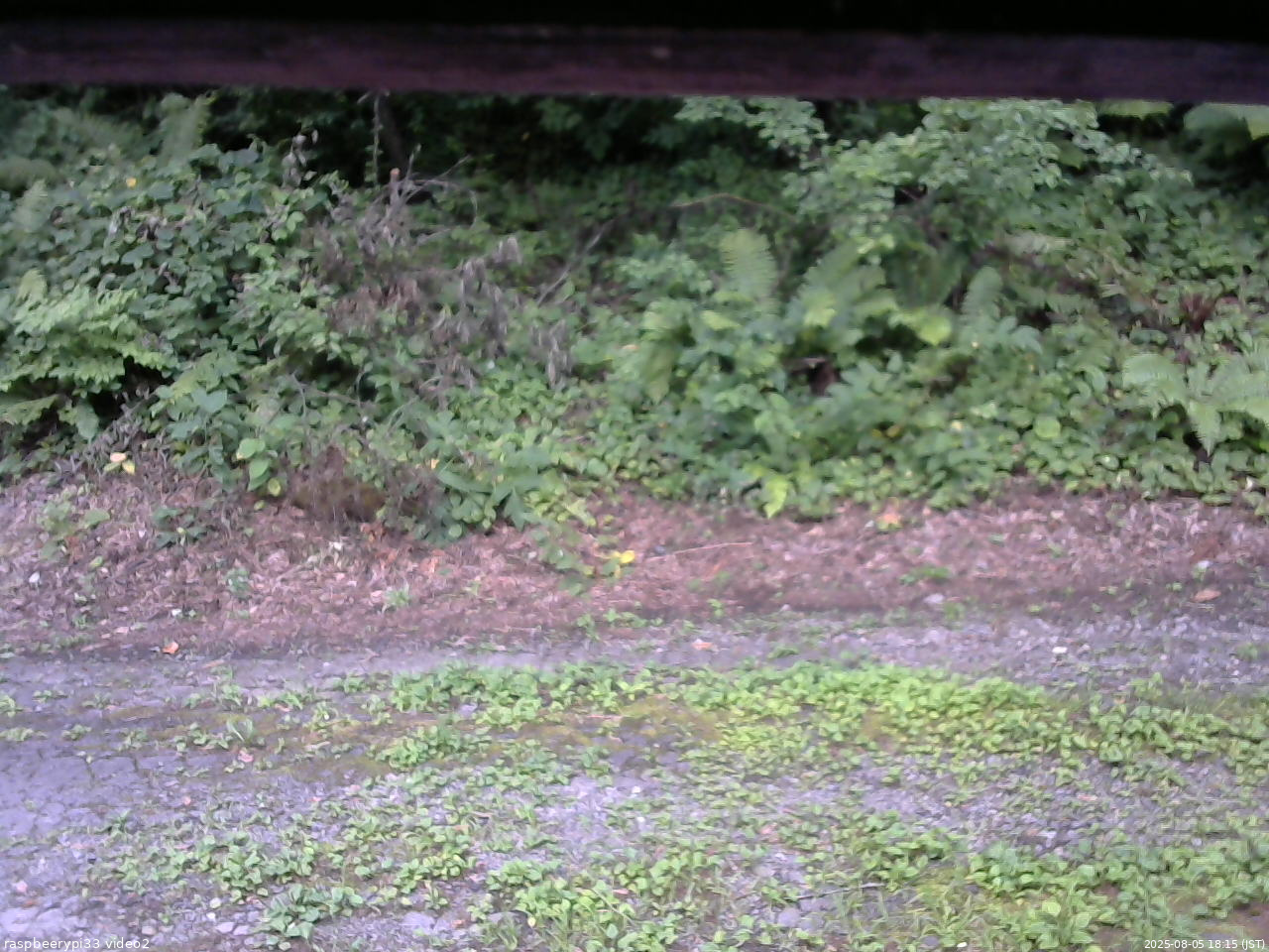 長野県菅平高原 ゆたか山荘 南側 2025/08/05 18:15