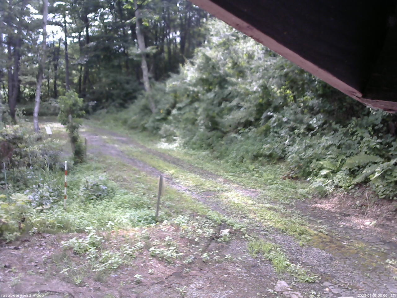 長野県菅平高原 ゆたか山荘 東側(坂下) 2025/08/05 08:00