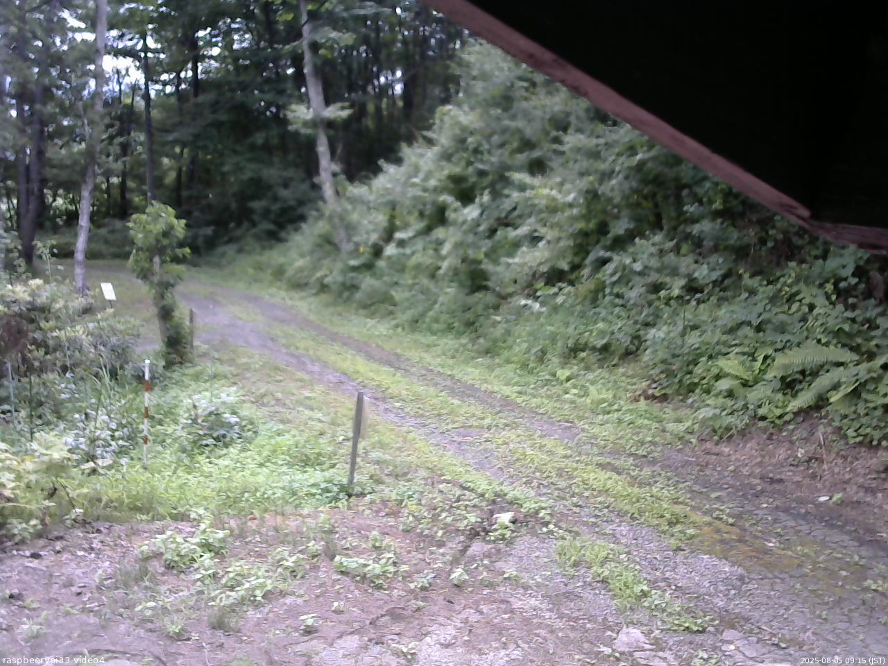 長野県菅平高原 ゆたか山荘 東側(坂下) 2025/08/05 09:15
