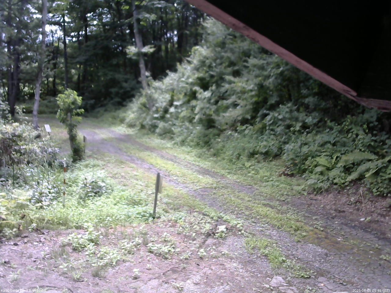 長野県菅平高原 ゆたか山荘 東側(坂下) 2025/08/05 09:45