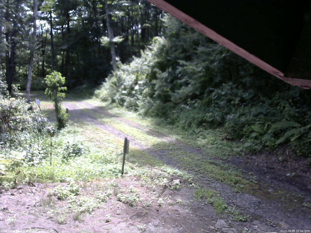 長野県菅平高原 ゆたか山荘 東側(坂下) 2025/08/05 10:00