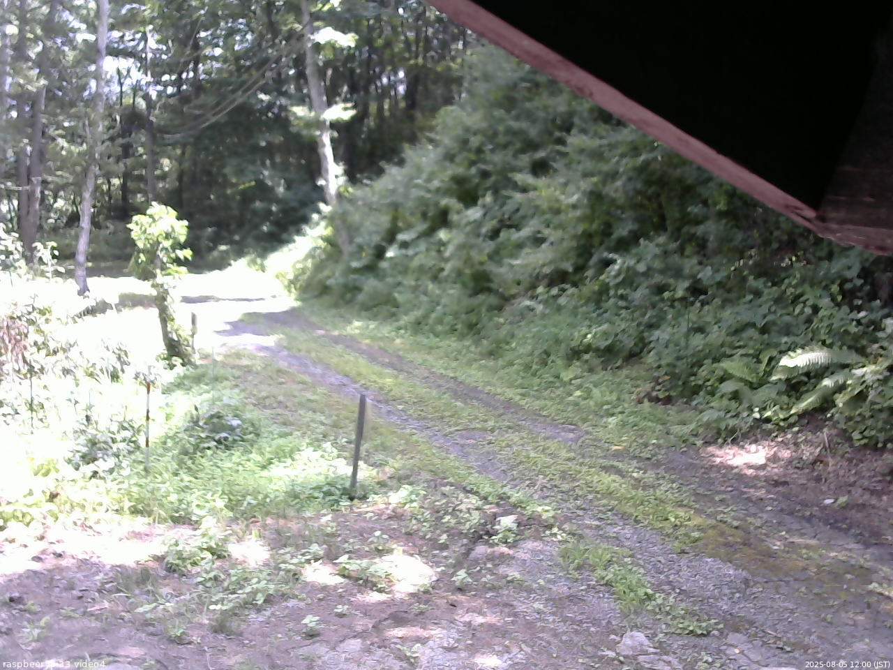 長野県菅平高原 ゆたか山荘 東側(坂下) 2025/08/05 12:00