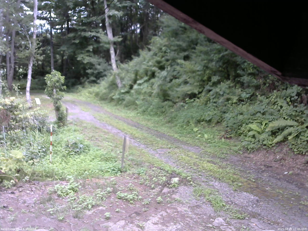 長野県菅平高原 ゆたか山荘 東側(坂下) 2025/08/05 12:45