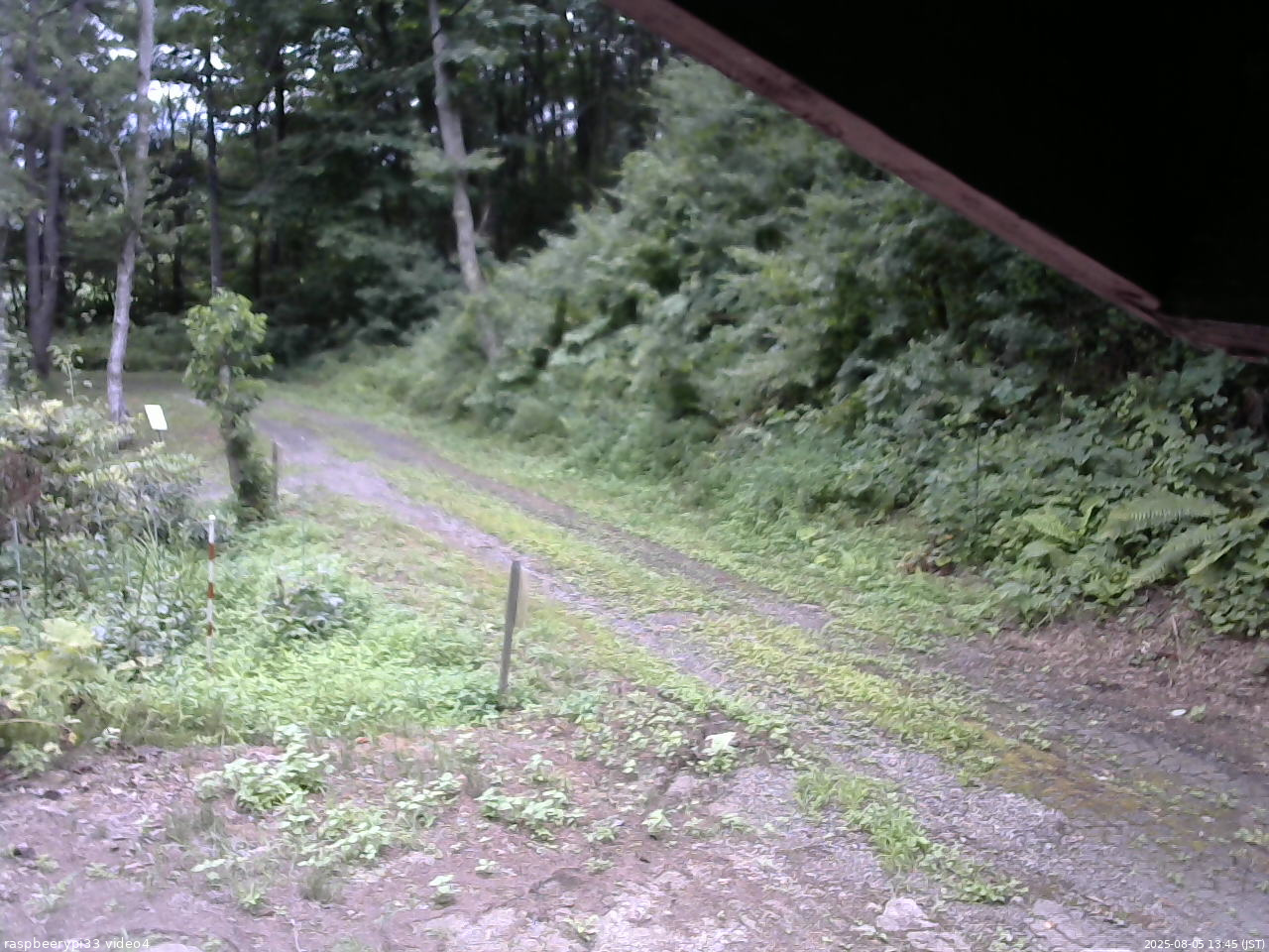 長野県菅平高原 ゆたか山荘 東側(坂下) 2025/08/05 13:45