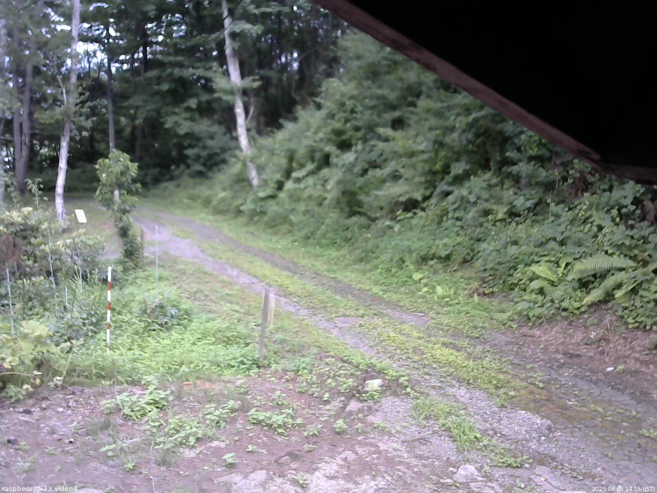 長野県菅平高原 ゆたか山荘 東側(坂下) 2025/08/05 14:15