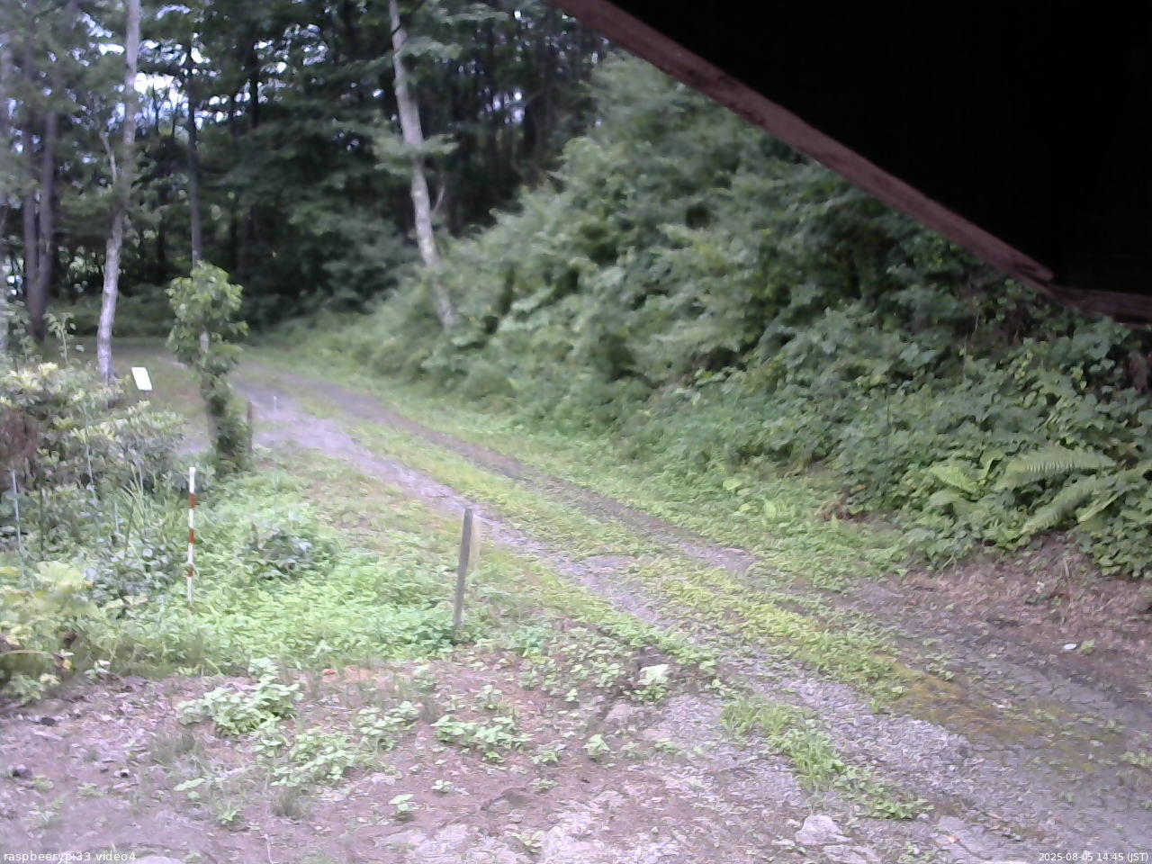 長野県菅平高原 ゆたか山荘 東側(坂下) 2025/08/05 14:45