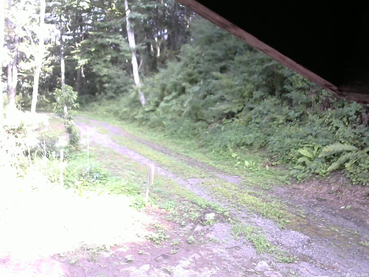 長野県菅平高原 ゆたか山荘 東側(坂下) 2025/08/05 15:45