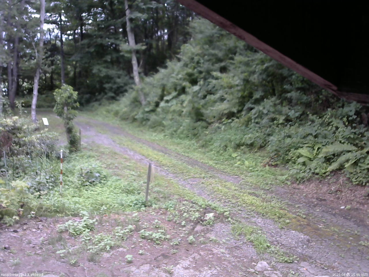 長野県菅平高原 ゆたか山荘 東側(坂下) 2025/08/05 16:45