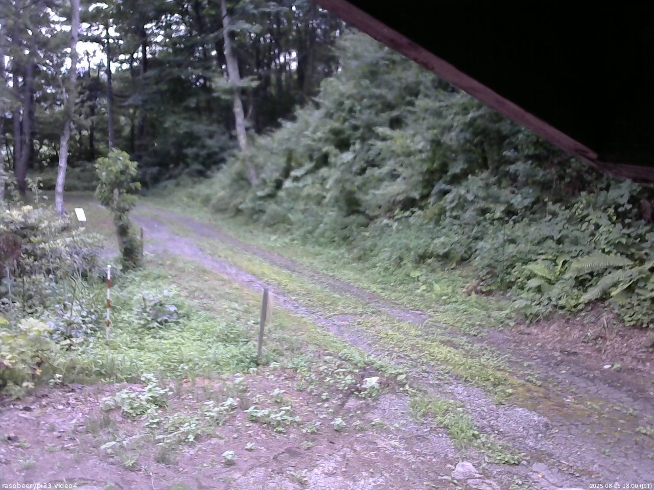 長野県菅平高原 ゆたか山荘 東側(坂下) 2025/08/05 18:00