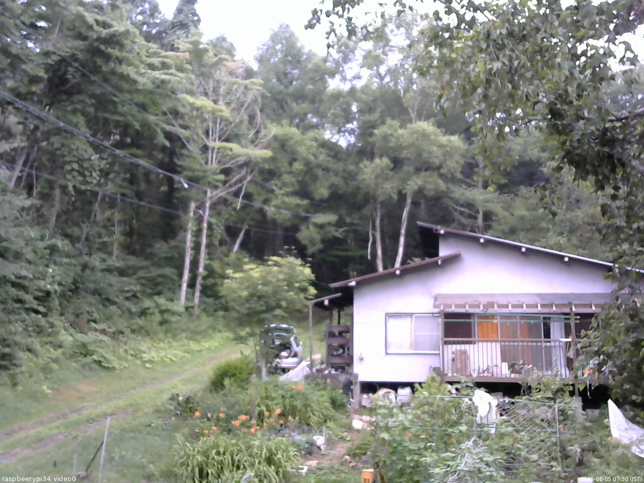 長野県菅平高原 ゆたか山荘 西側(坂上) 2025/08/05 07:30