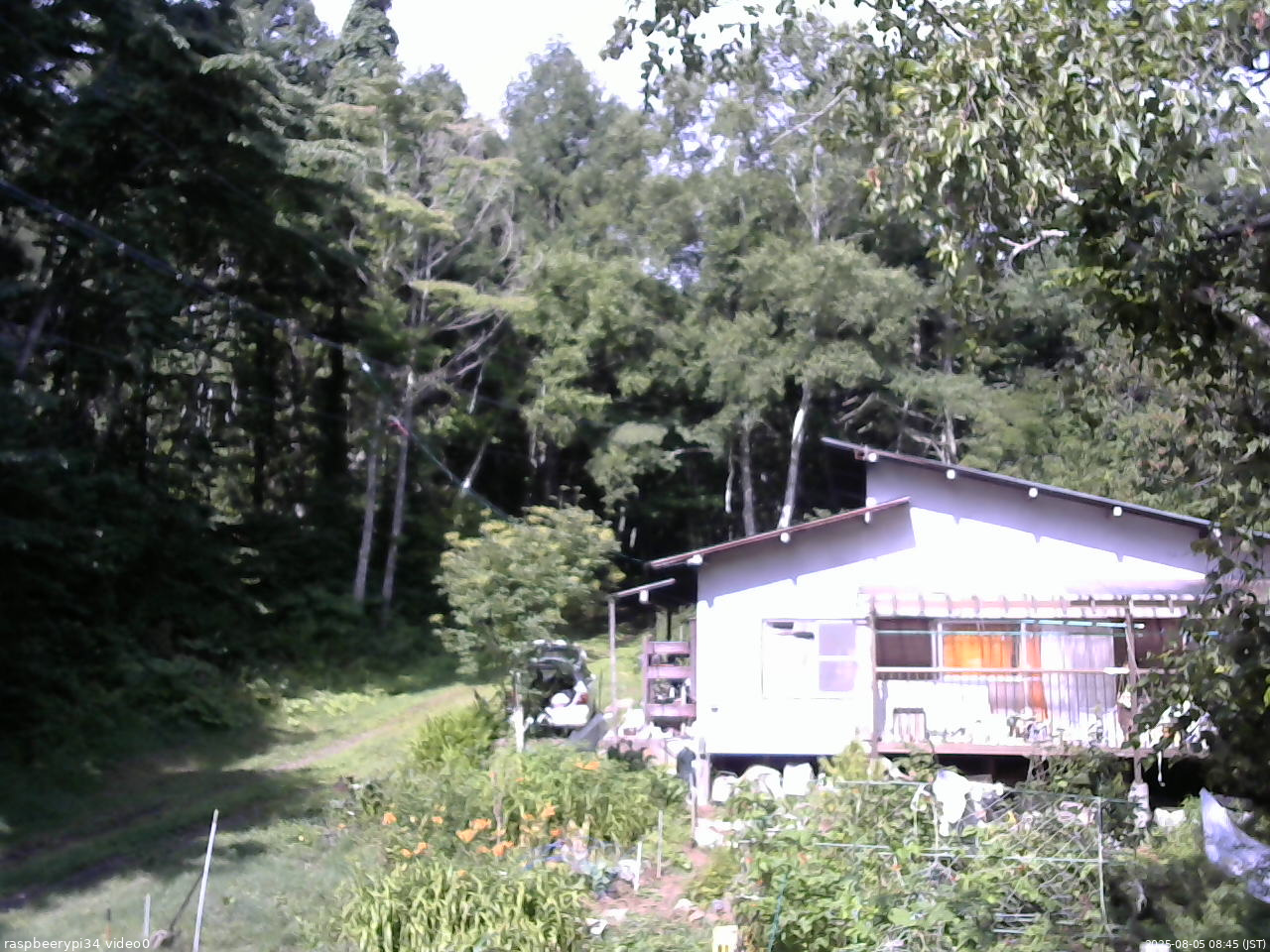 長野県菅平高原 ゆたか山荘 西側(坂上) 2025/08/05 08:45