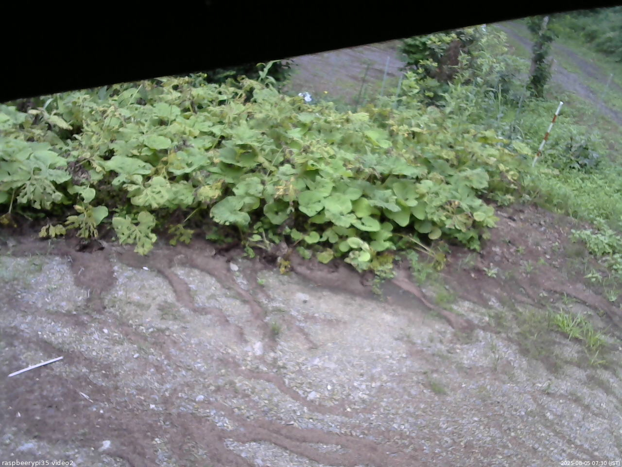 長野県菅平高原 ゆたか山荘 駐車場 2025/08/05 07:30