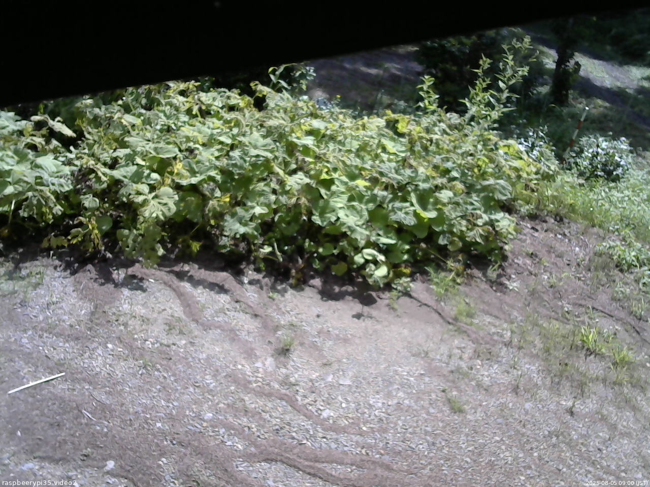 長野県菅平高原 ゆたか山荘 駐車場 2025/08/05 09:00
