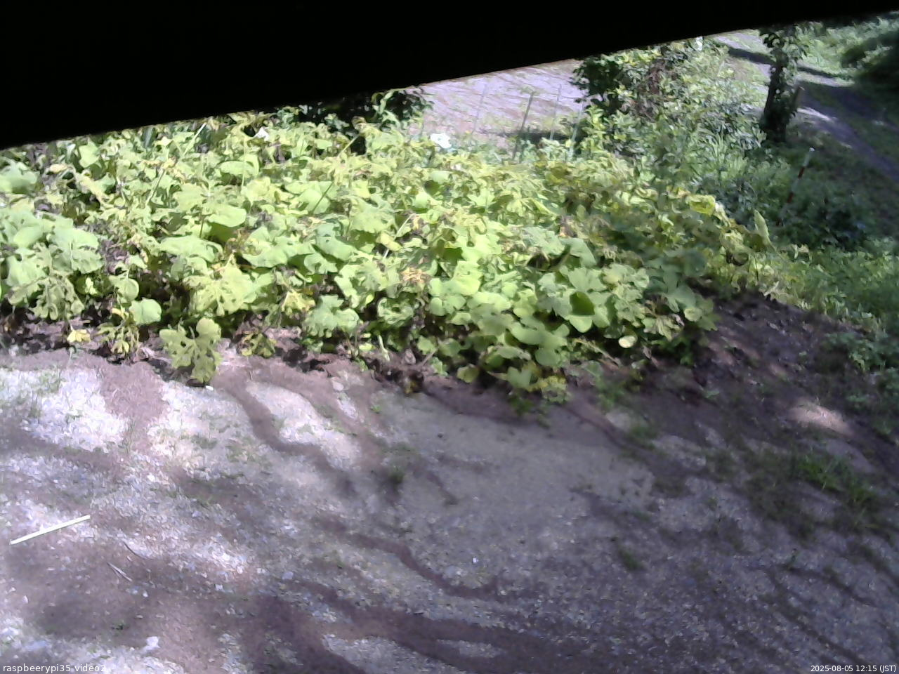 長野県菅平高原 ゆたか山荘 駐車場 2025/08/05 12:15