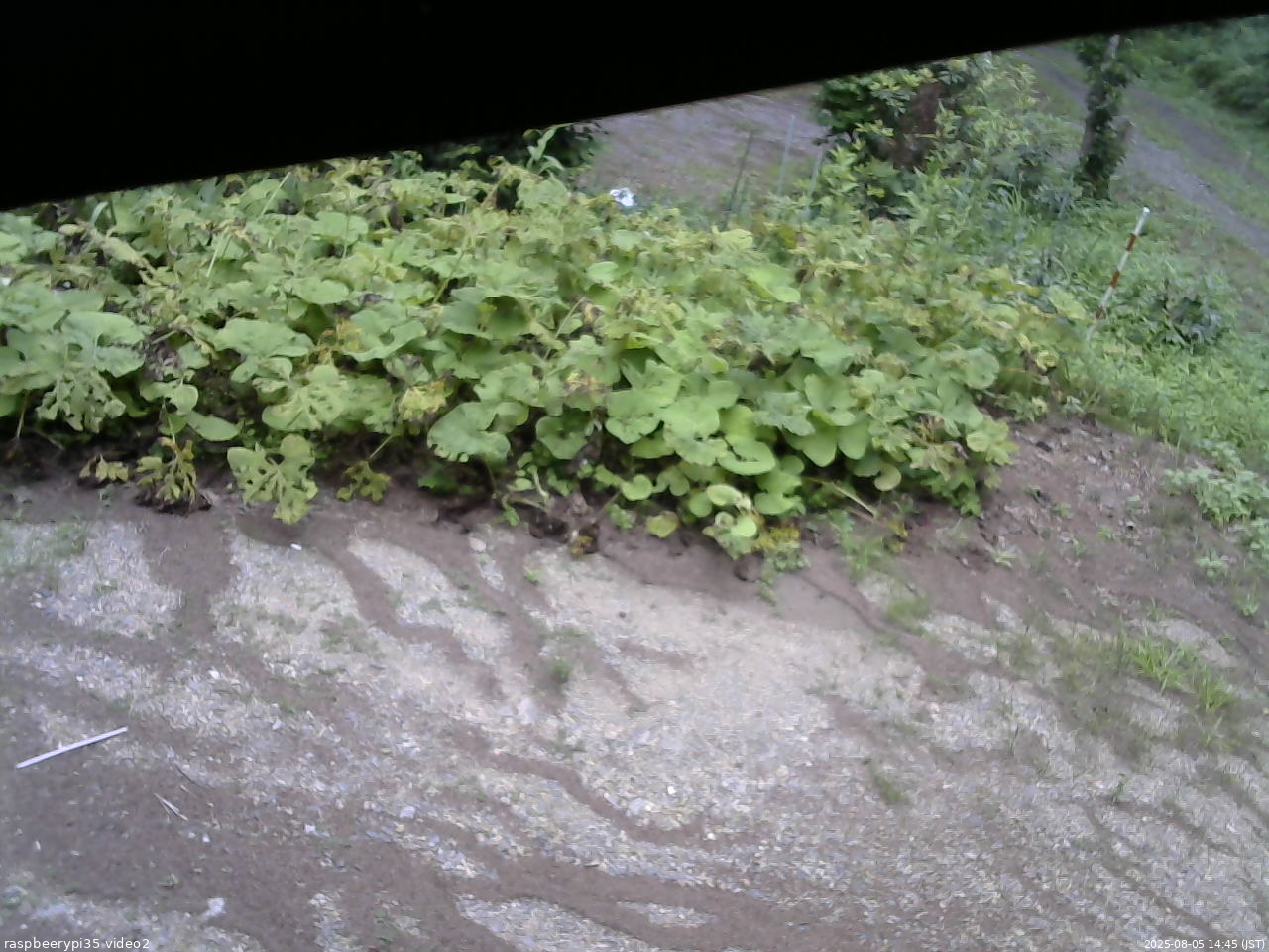 長野県菅平高原 ゆたか山荘 駐車場 2025/08/05 14:45