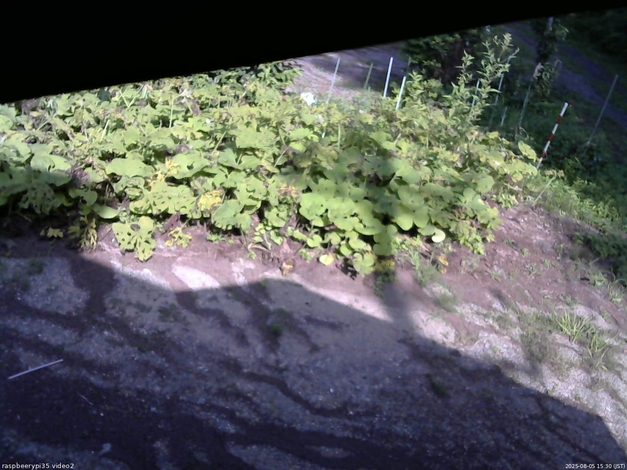 長野県菅平高原 ゆたか山荘 駐車場 2025/08/05 15:30