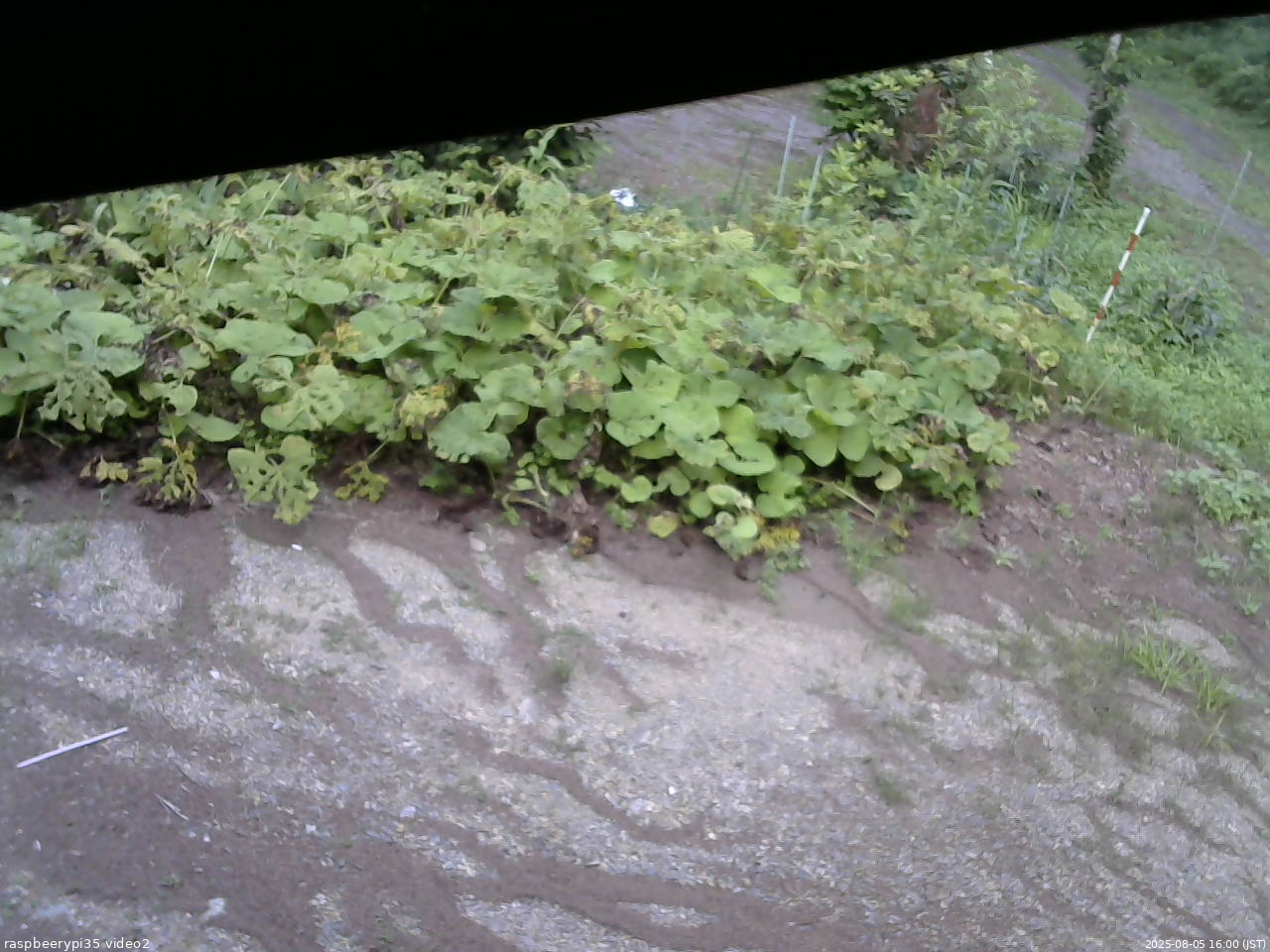 長野県菅平高原 ゆたか山荘 駐車場 2025/08/05 16:00