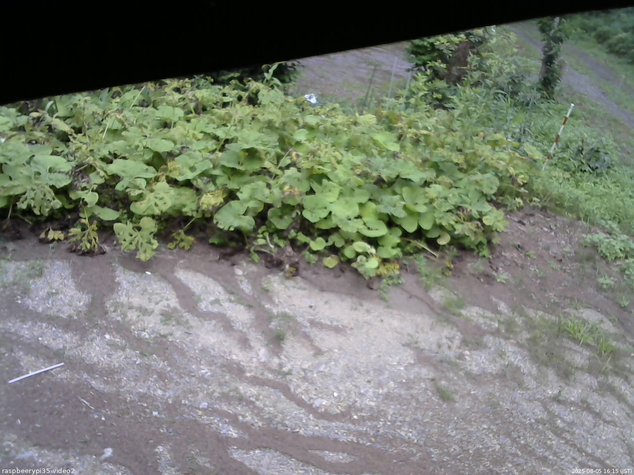 長野県菅平高原 ゆたか山荘 駐車場 2025/08/05 16:15