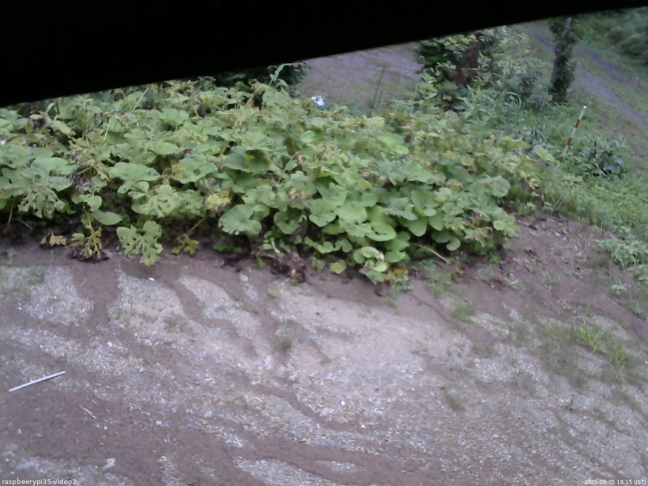 長野県菅平高原 ゆたか山荘 駐車場 2025/08/05 18:15