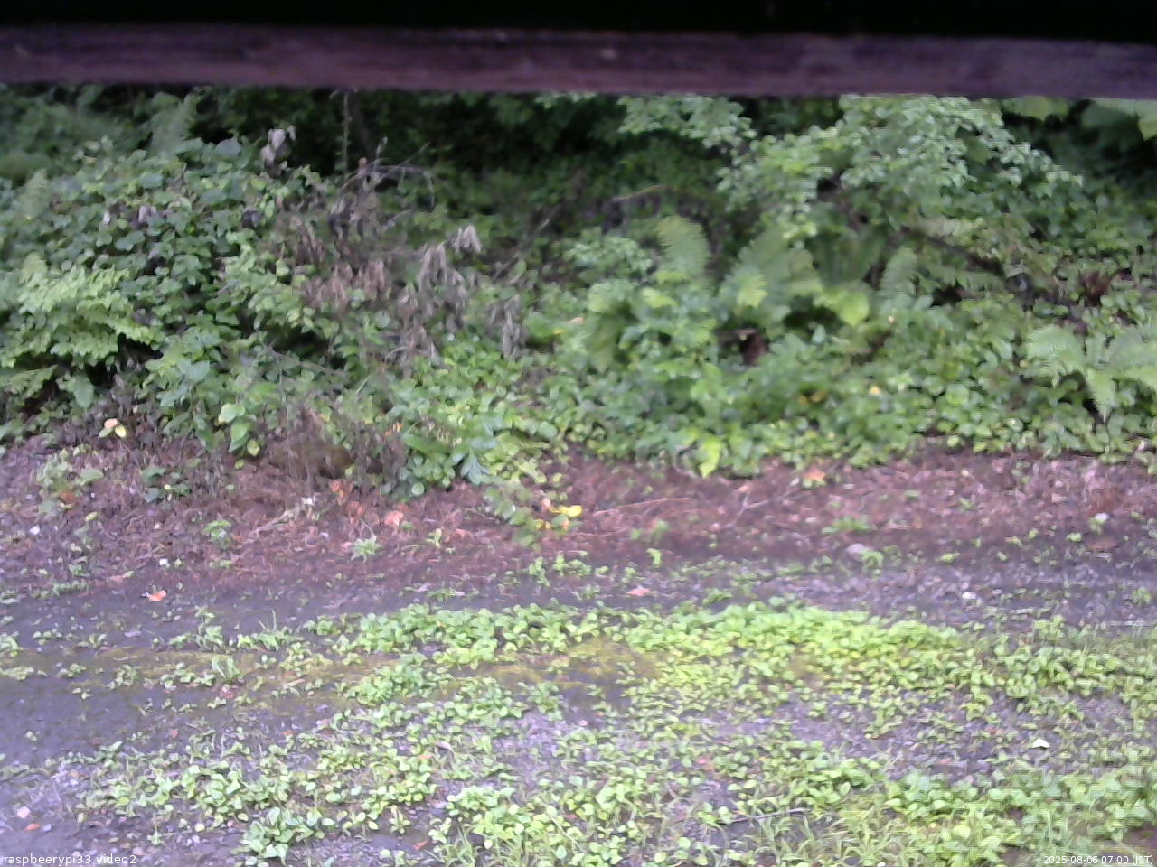 長野県菅平高原 ゆたか山荘 南側 2025/08/06 07:00