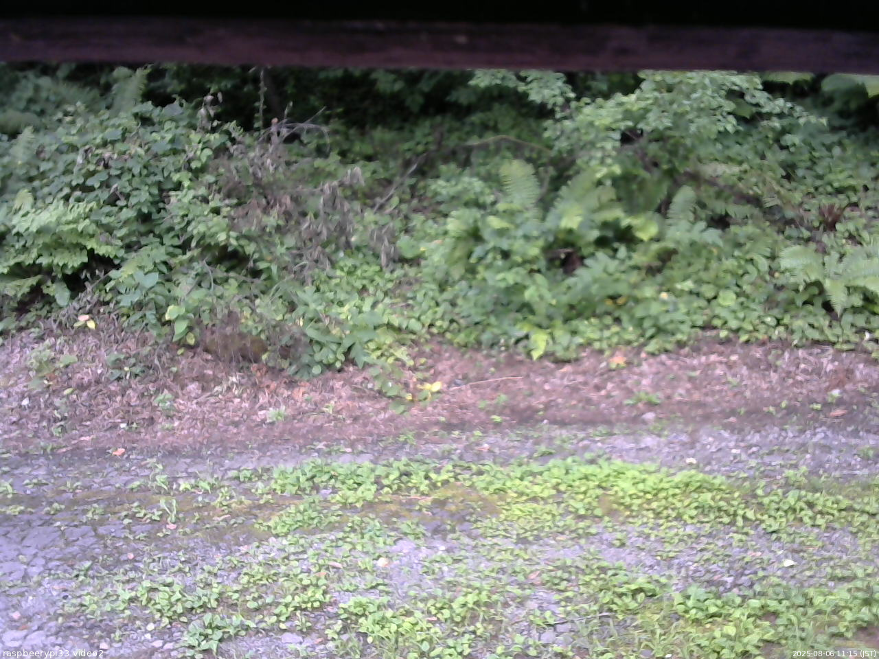 長野県菅平高原 ゆたか山荘 南側 2025/08/06 11:15