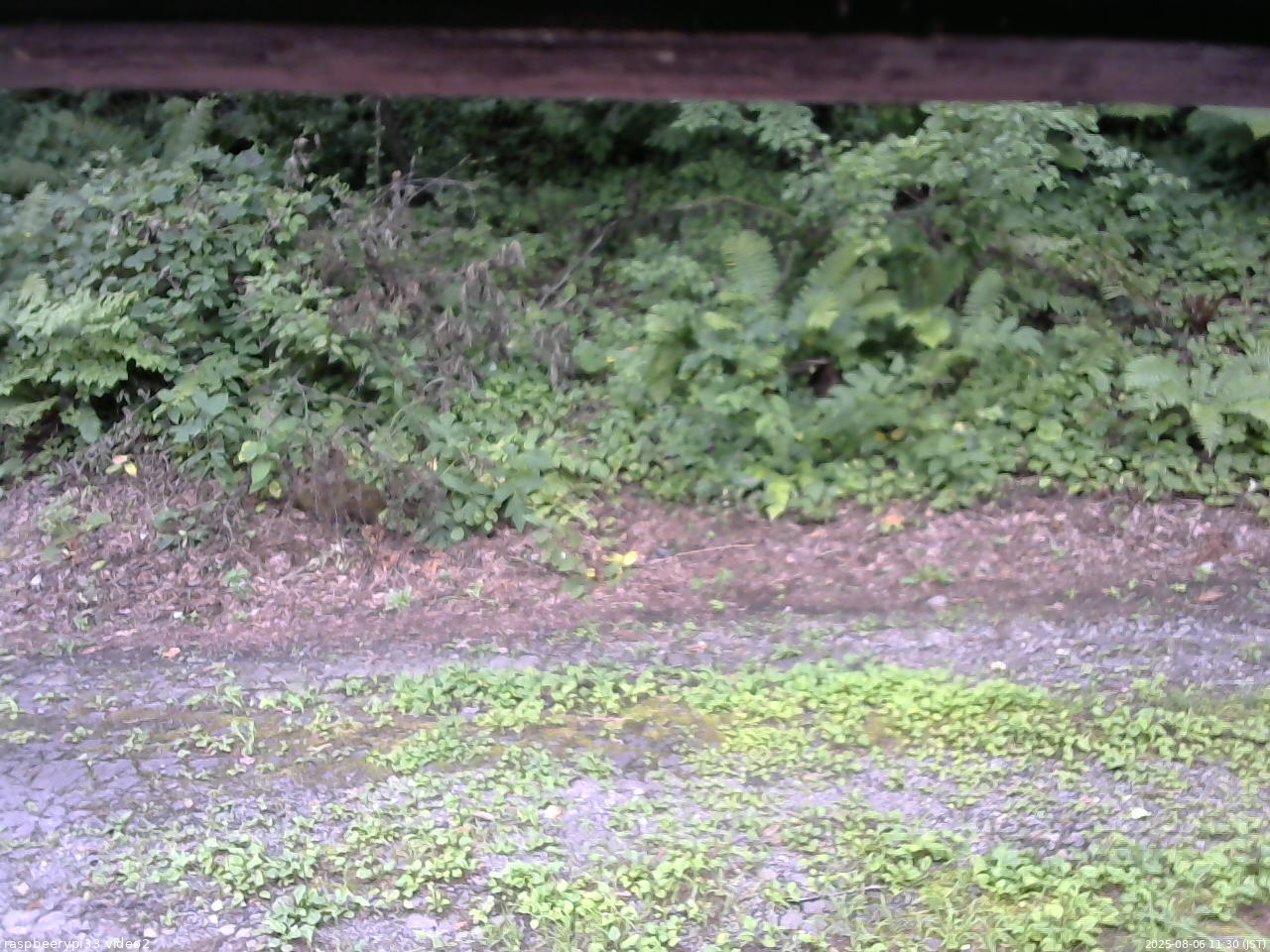 長野県菅平高原 ゆたか山荘 南側 2025/08/06 11:30