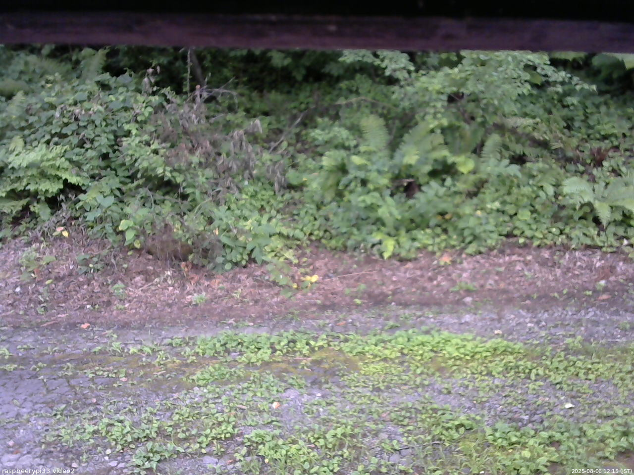 長野県菅平高原 ゆたか山荘 南側 2025/08/06 12:15