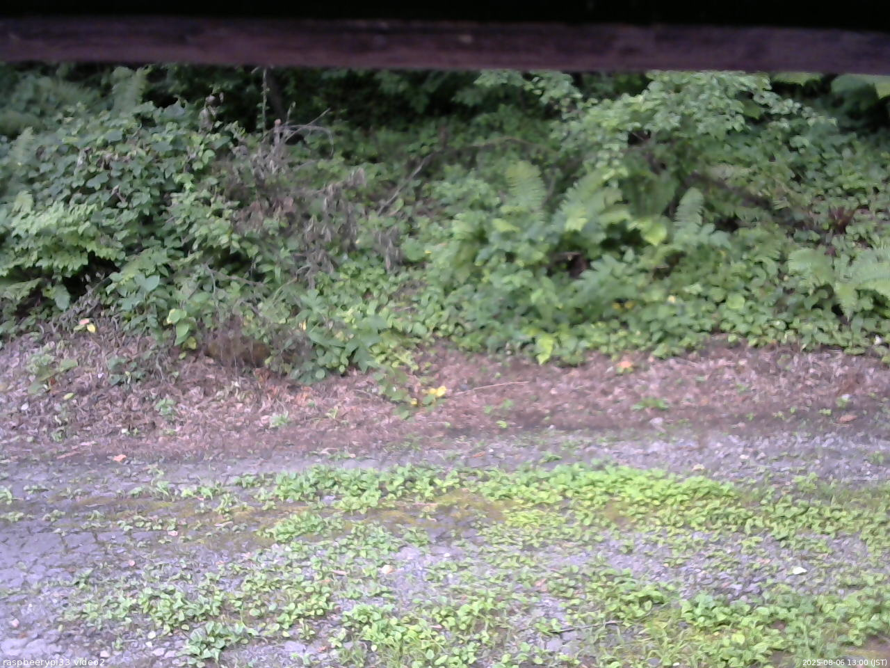 長野県菅平高原 ゆたか山荘 南側 2025/08/06 13:00