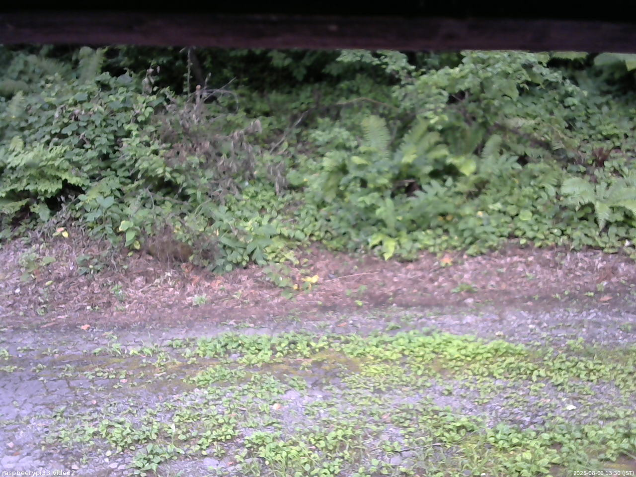 長野県菅平高原 ゆたか山荘 南側 2025/08/06 13:30