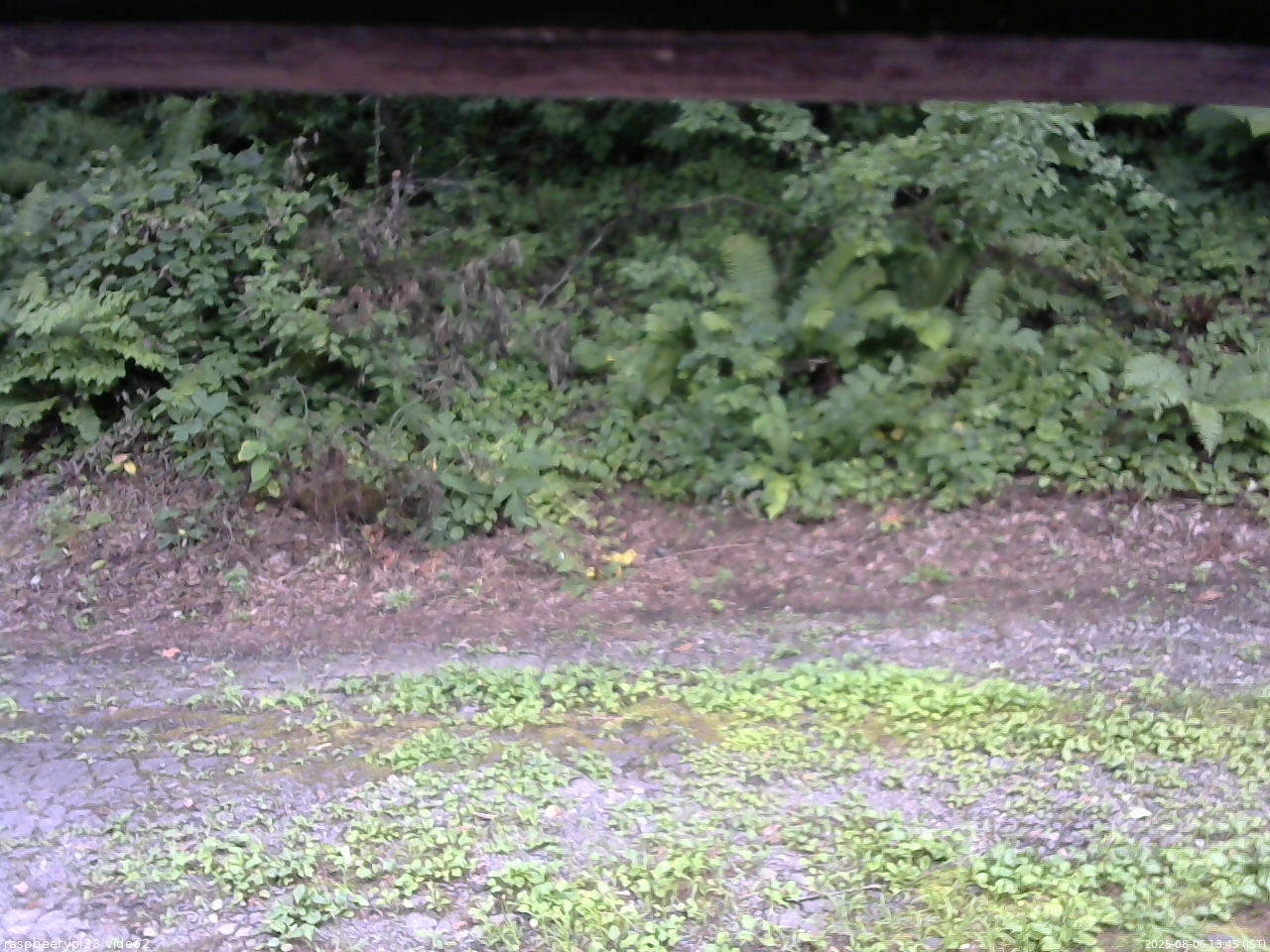 長野県菅平高原 ゆたか山荘 南側 2025/08/06 13:45