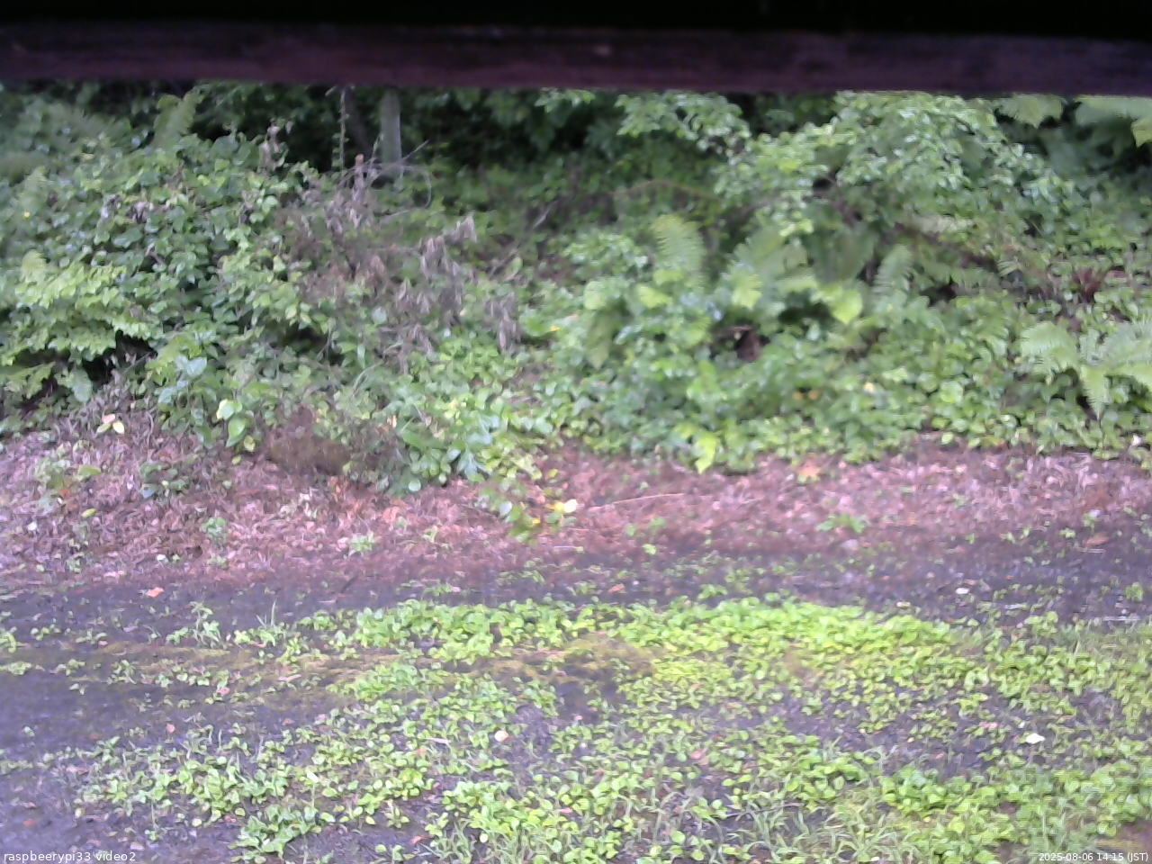 長野県菅平高原 ゆたか山荘 南側 2025/08/06 14:15
