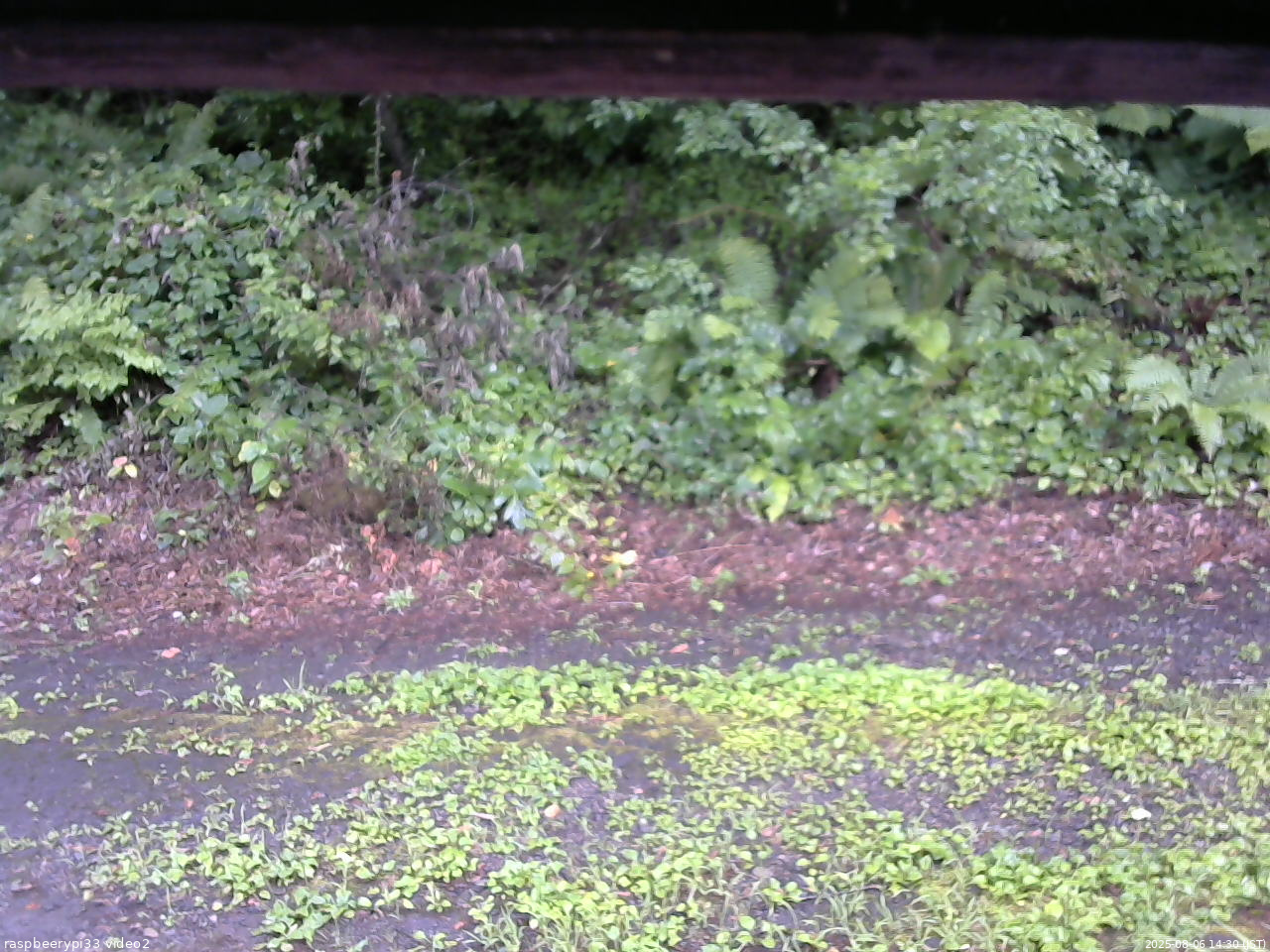 長野県菅平高原 ゆたか山荘 南側 2025/08/06 14:30