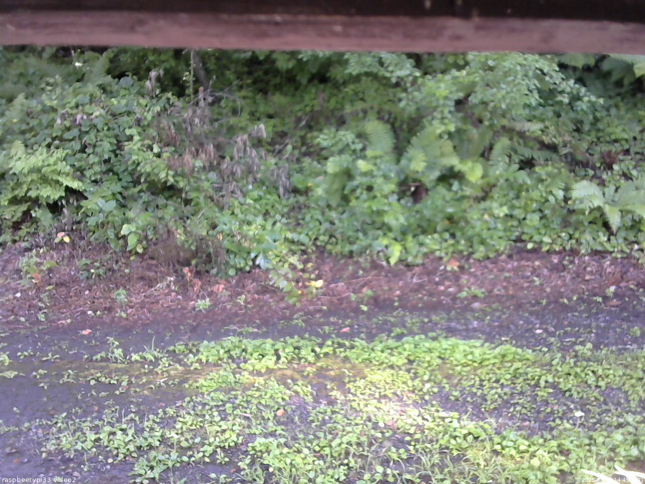 長野県菅平高原 ゆたか山荘 南側 2025/08/06 14:45