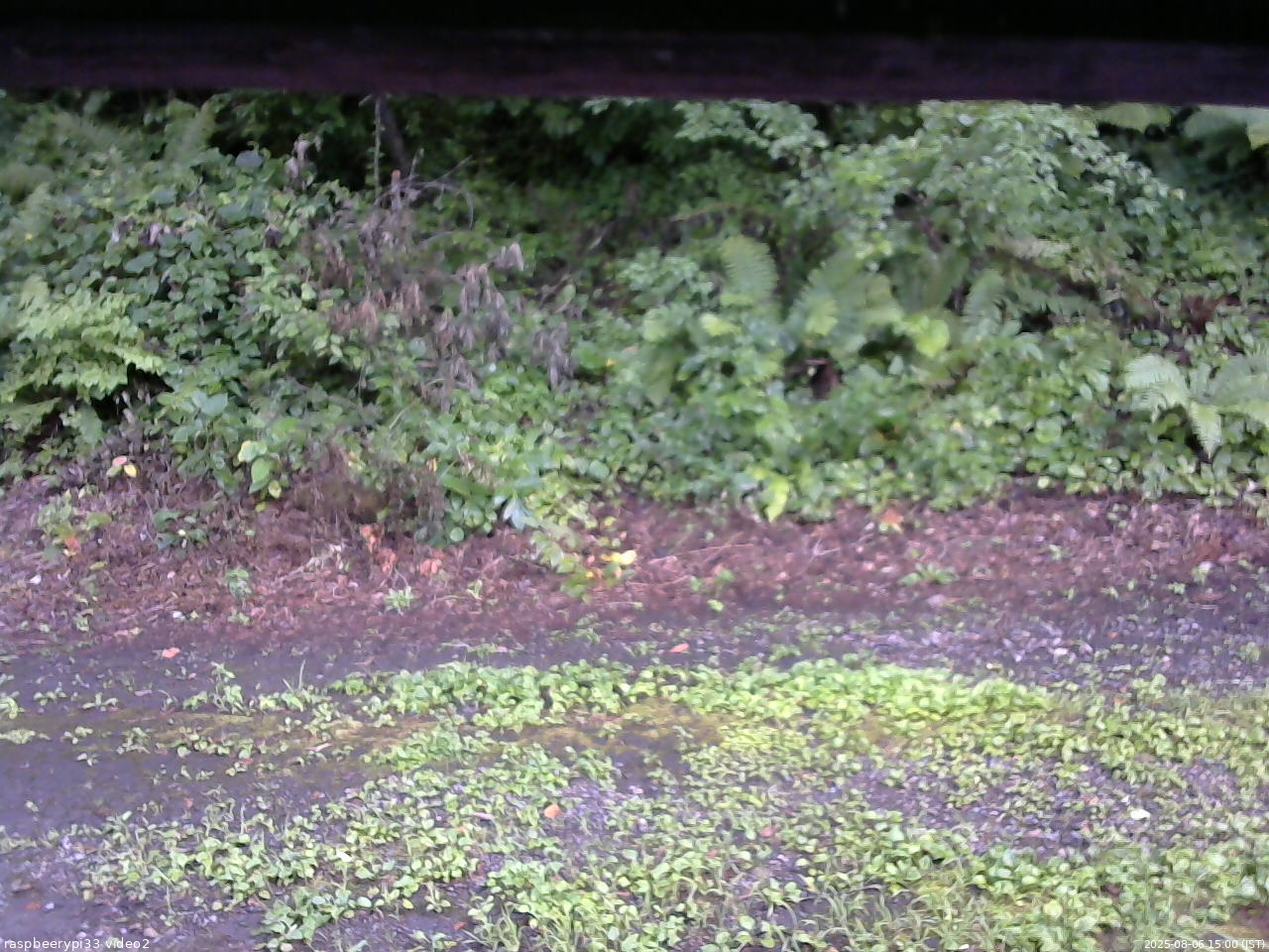 長野県菅平高原 ゆたか山荘 南側 2025/08/06 15:00