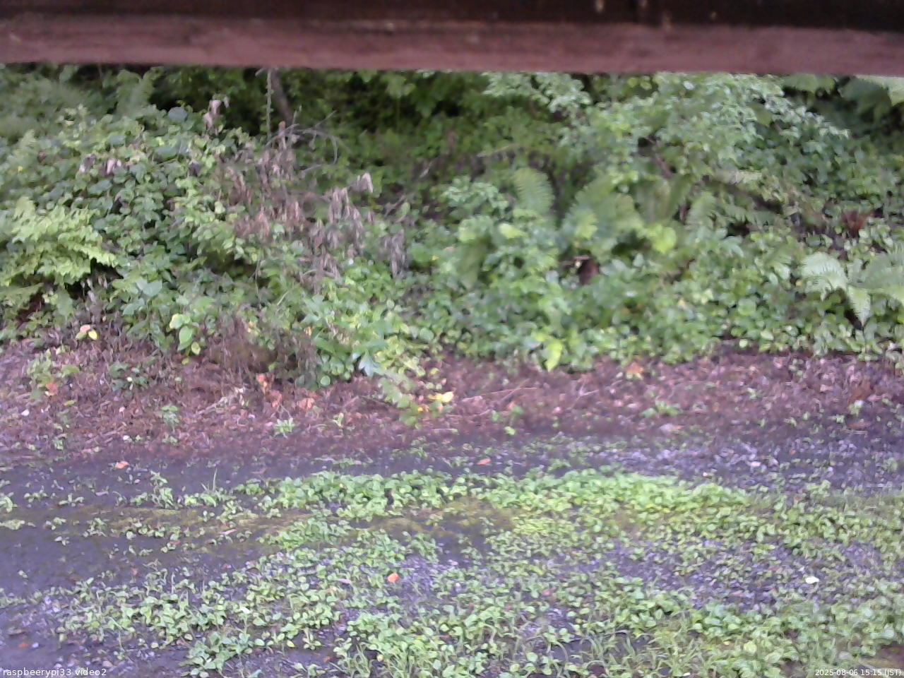 長野県菅平高原 ゆたか山荘 南側 2025/08/06 15:15